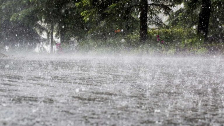 Mau tempo: Proteção Civil emite alerta importante por causa da chuva